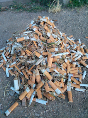 Zigarettenkippen in der Wilhelm-Loos-Anlage nach dem Hafenfest 2022